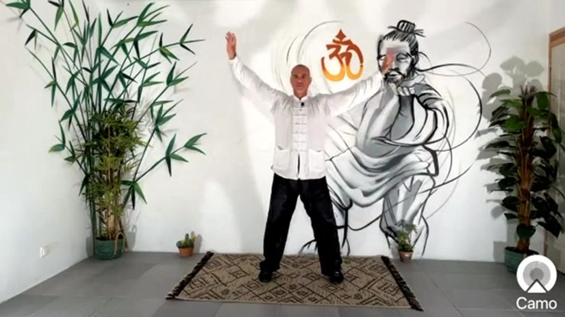 Séance 14 - Tai Chi Qi Gong 13,14,15,16,17,18